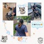 通院同行